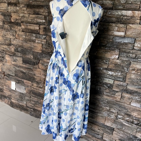 Gabby Skye Blue and White Sleeveless Midi Dress - Picture 8 of 13